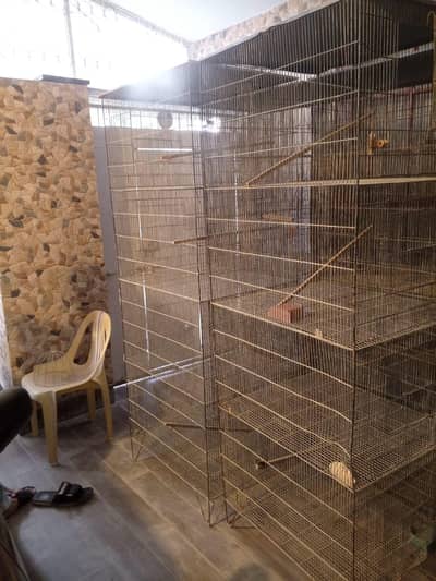 Bird cage sell