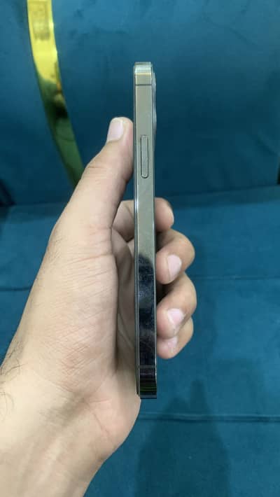 Apple iPhone 12 Pro