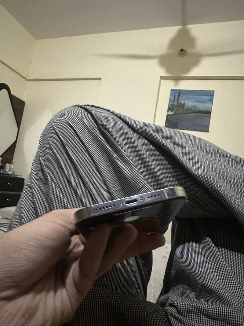 Apple iPhone 12 1