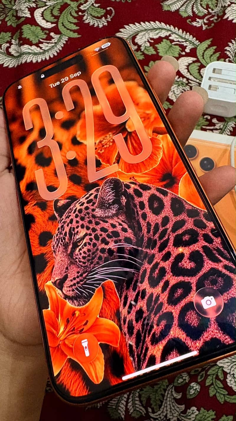 Apple iPhone 17 Pro Max 6