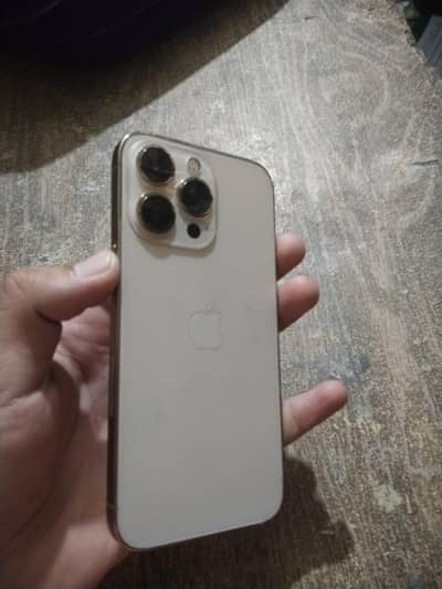 Apple iPhone 13 Pro