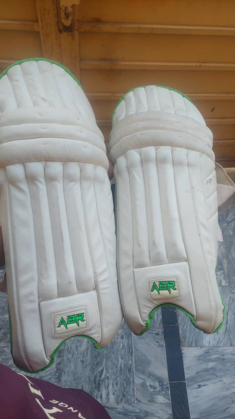 Cricket Kit 1