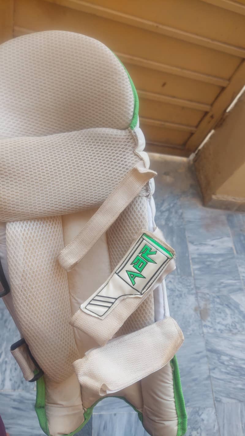 Cricket Kit 6