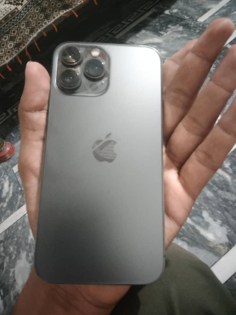 Apple iPhone 13 Pro Max 1