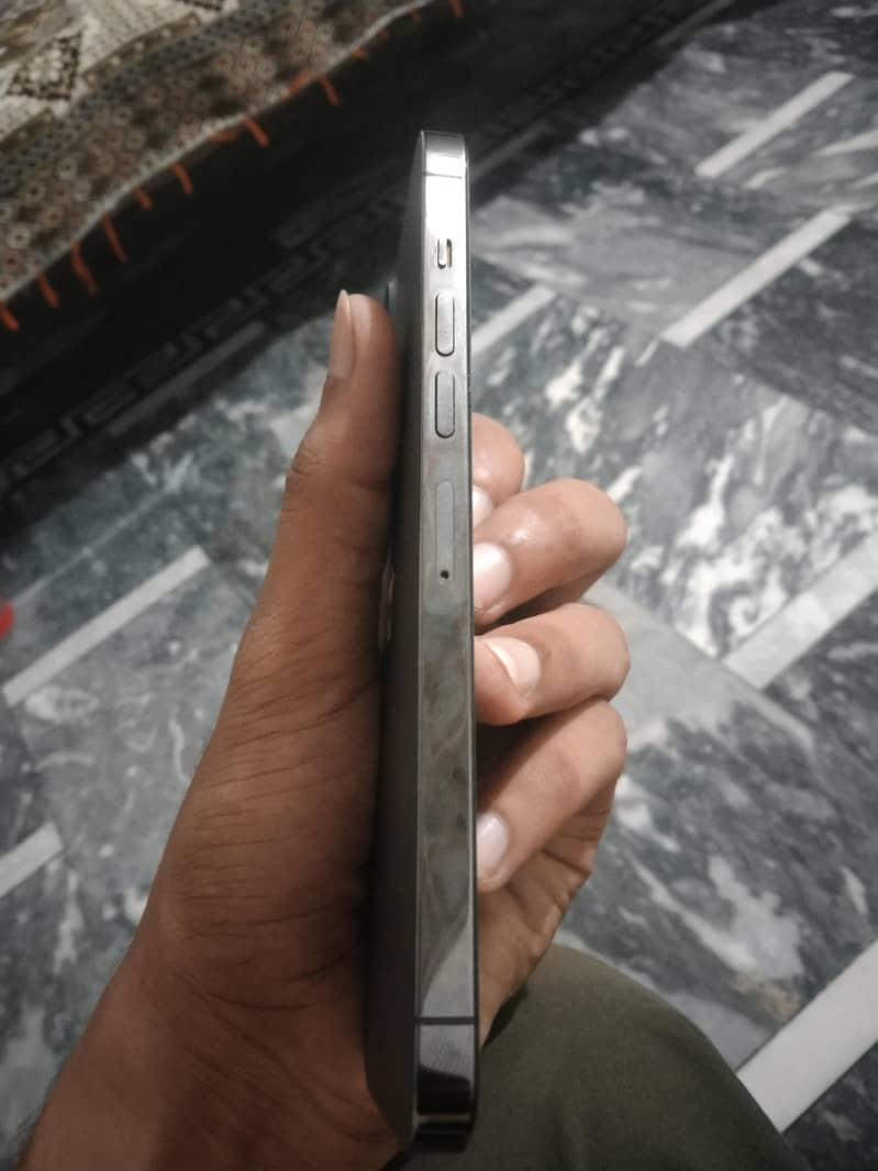 Apple iPhone 13 Pro Max 2