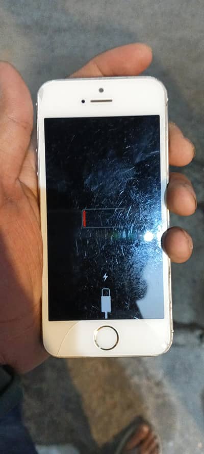 Apple iPhone 5s