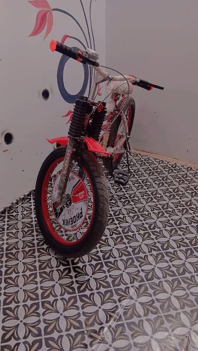 Phoenix Kids Bicycle for Sale – Almost New (Used Only 30 Minutes)
