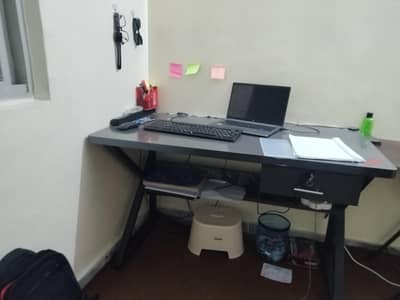 study qnd daily use Z design table