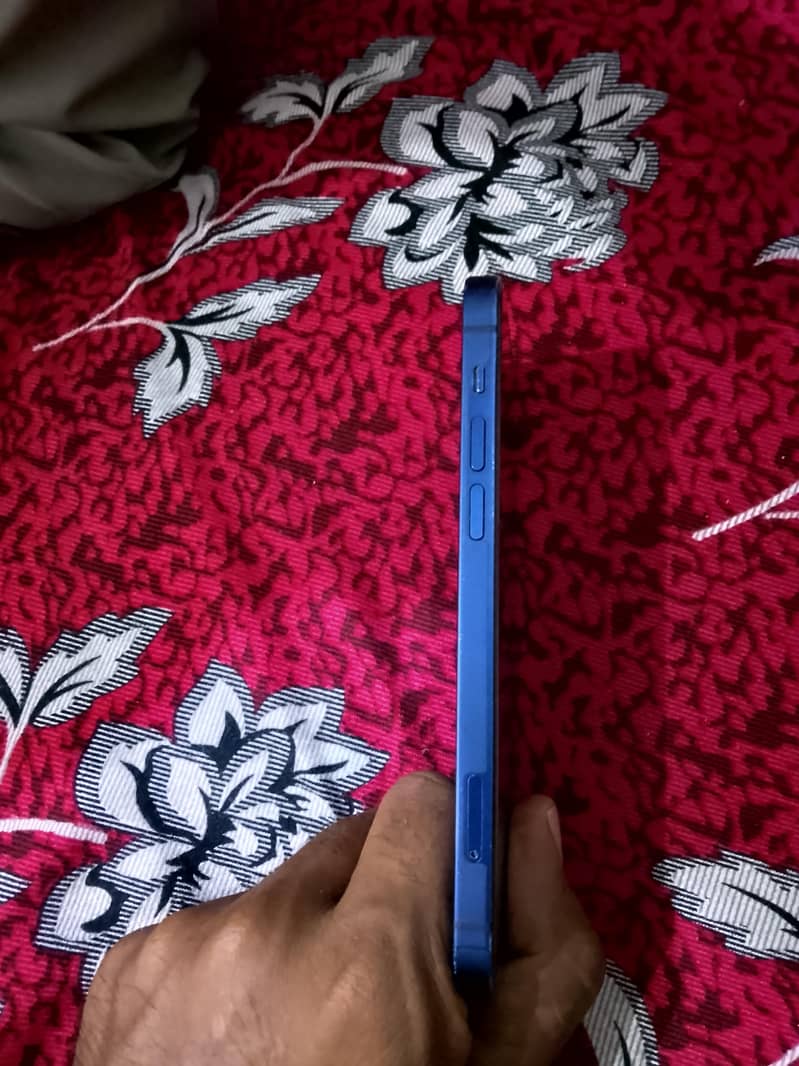 Apple iPhone 12 2