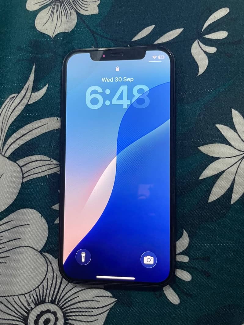 Apple iPhone 12 1