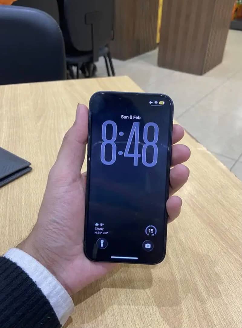 Apple iPhone 13 0