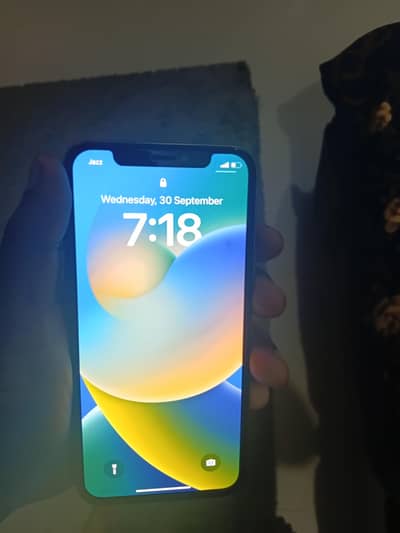 Apple iPhone X