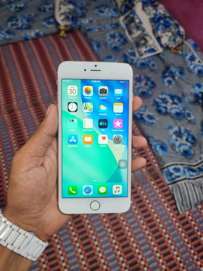 iPhone 6 Plus