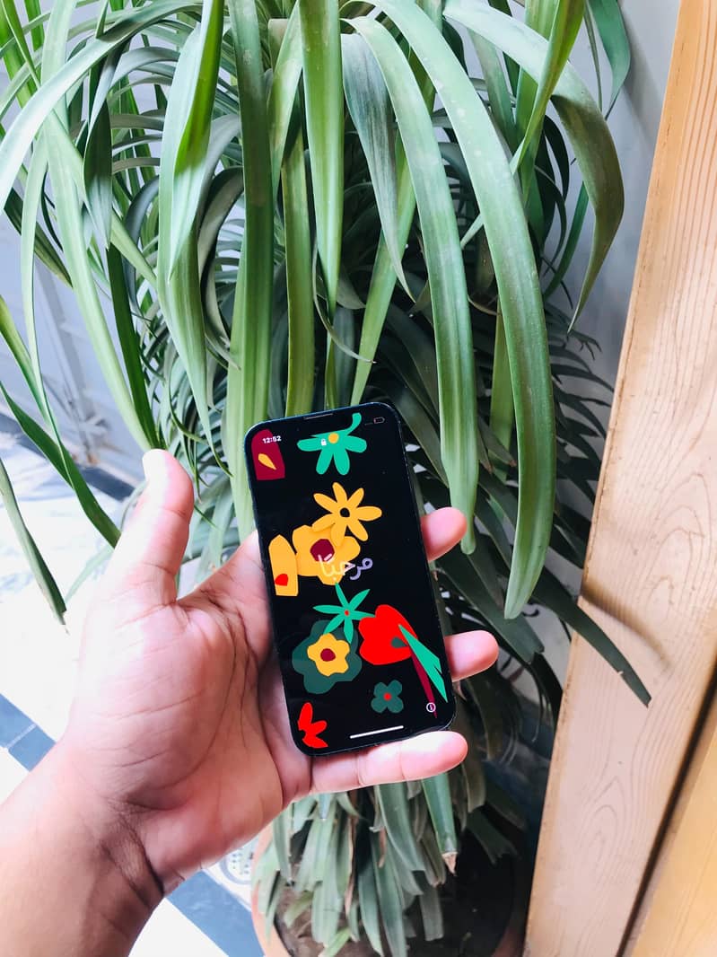 Apple iPhone 13 mini 1