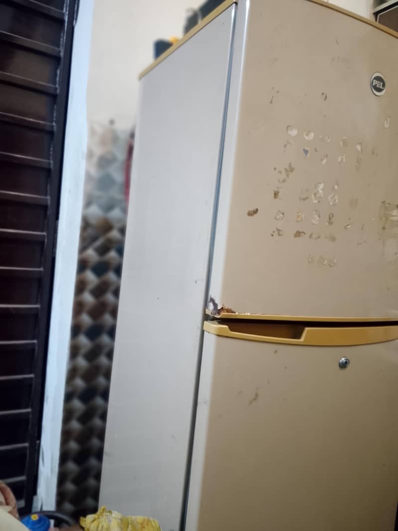 Pel Refrigerator 1