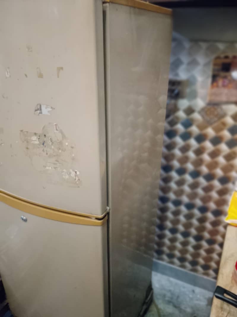 Pel Refrigerator 2