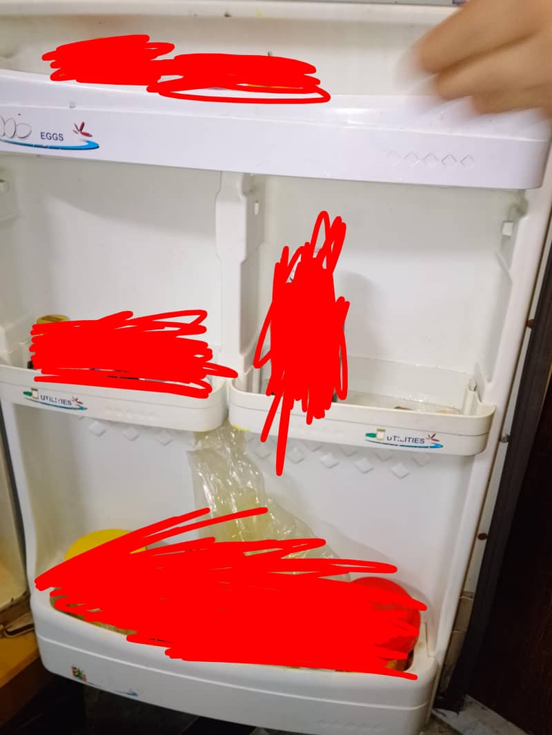 Pel Refrigerator 8