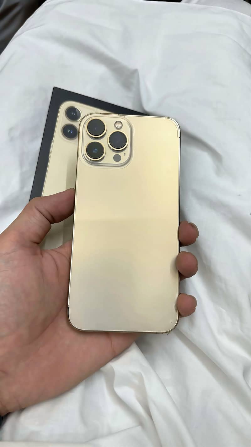 Apple iPhone 13 Pro Max 1