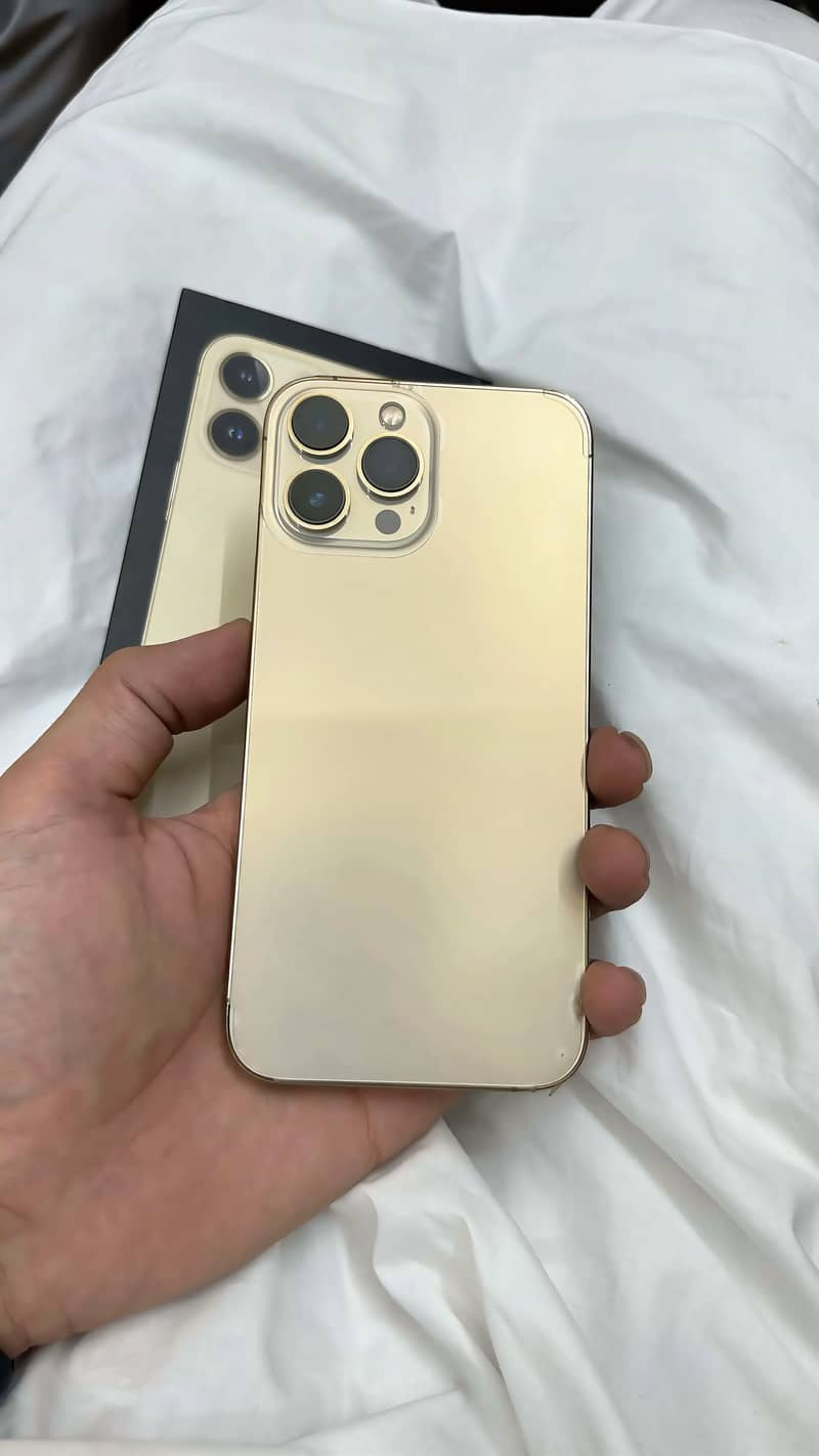 Apple iPhone 13 Pro Max 2