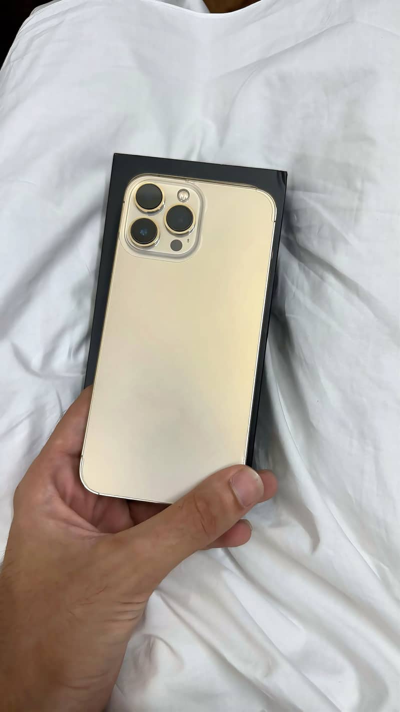 Apple iPhone 13 Pro Max 3