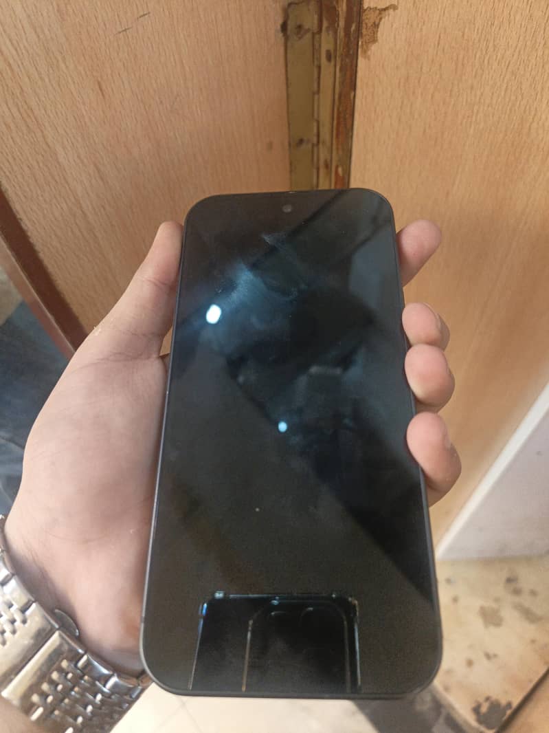 Google Pixel 9 1