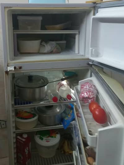 Dawlance Double Door Refrigerator (10-11 CFT) . 0300 /42-48 193