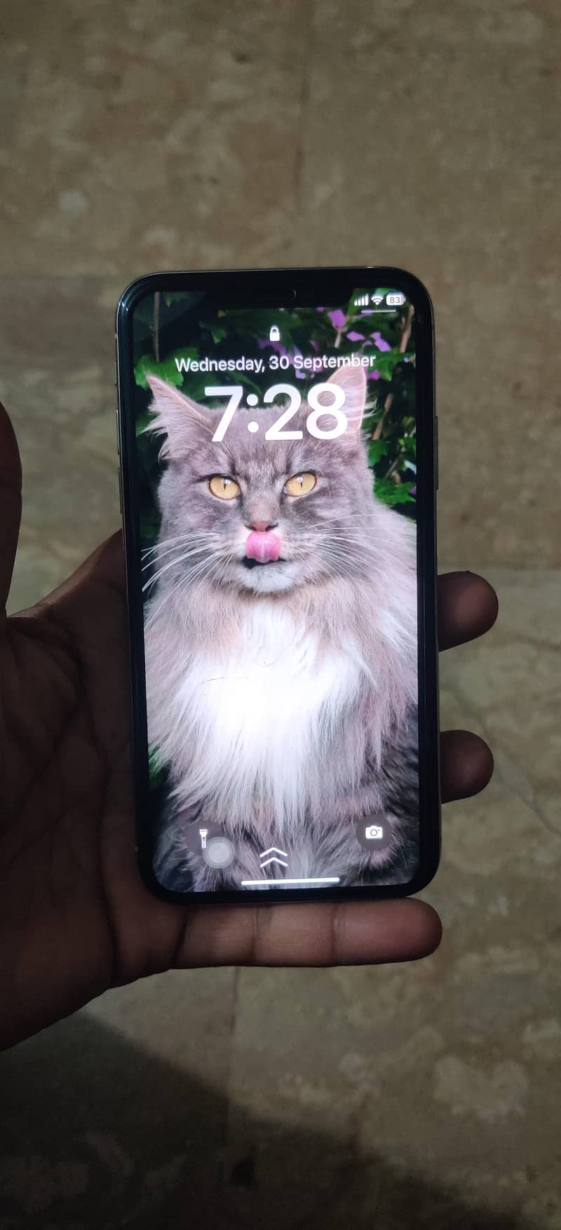Apple iPhone X 5