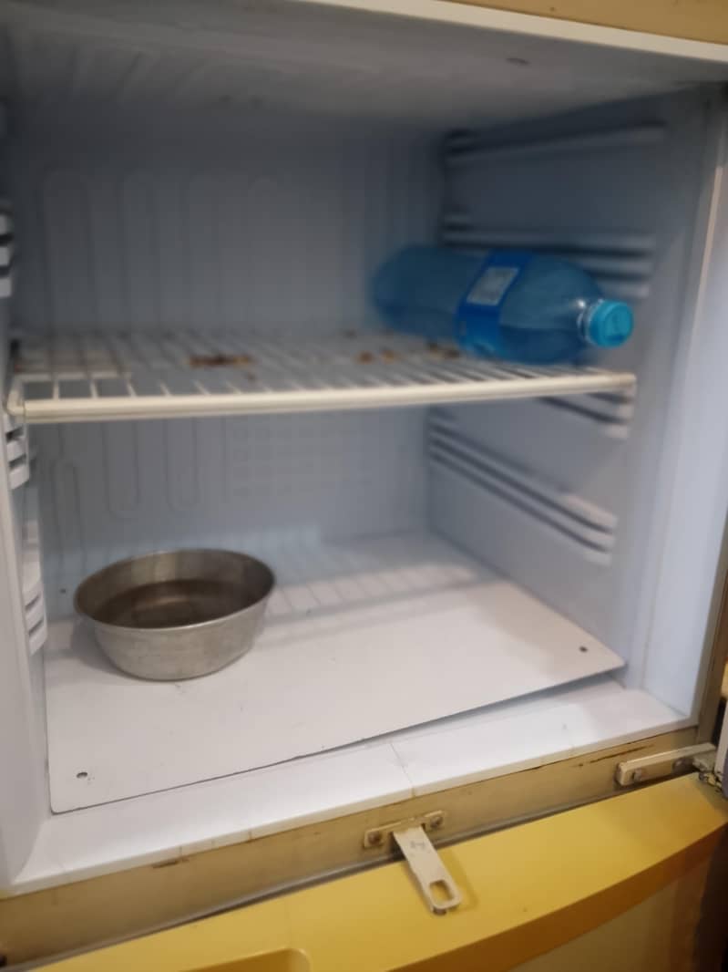 Pel Fridge 3