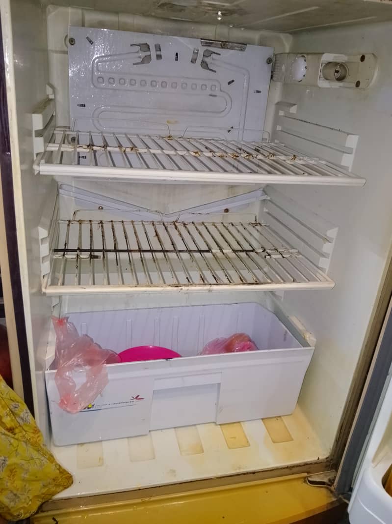 Pel Fridge 6