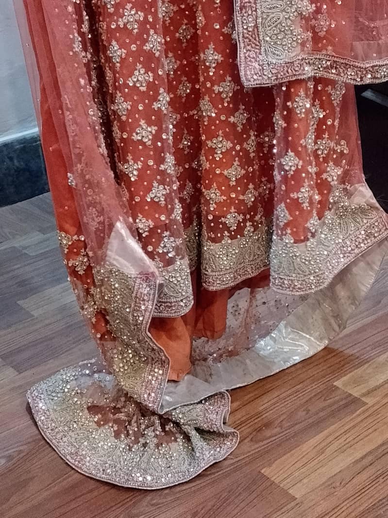 long tale maxi 1