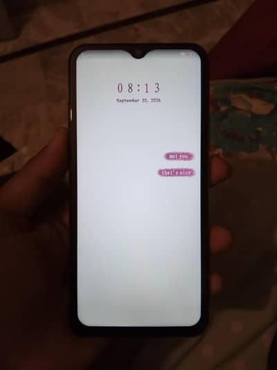 Vivo Y17