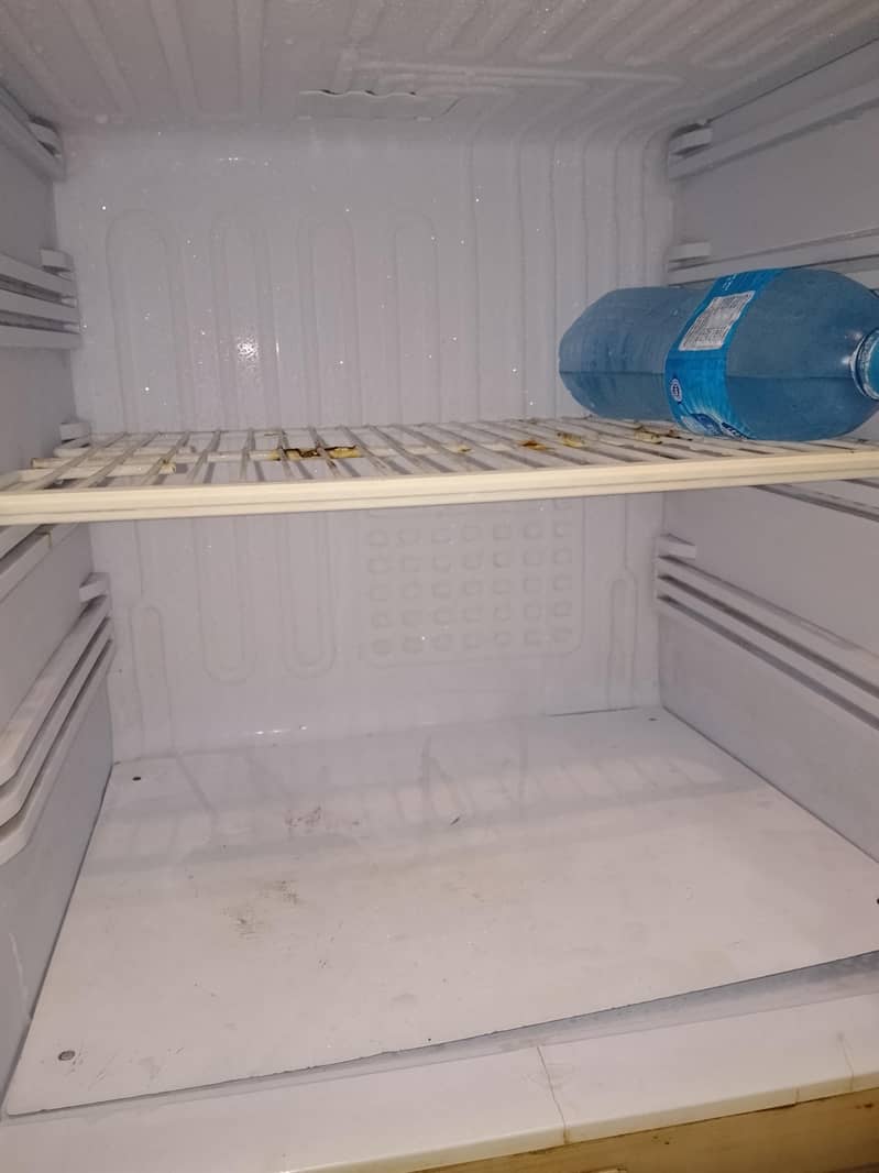 Pel Fridge 5