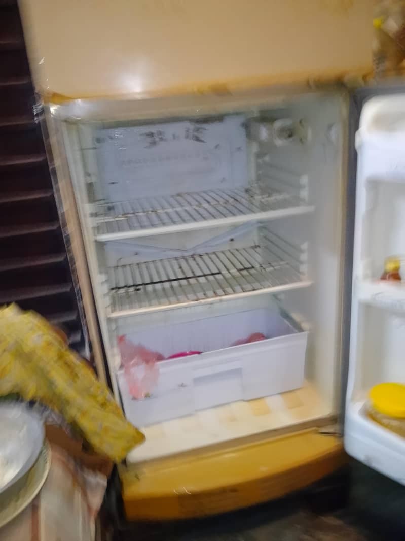 Pel Fridge 8