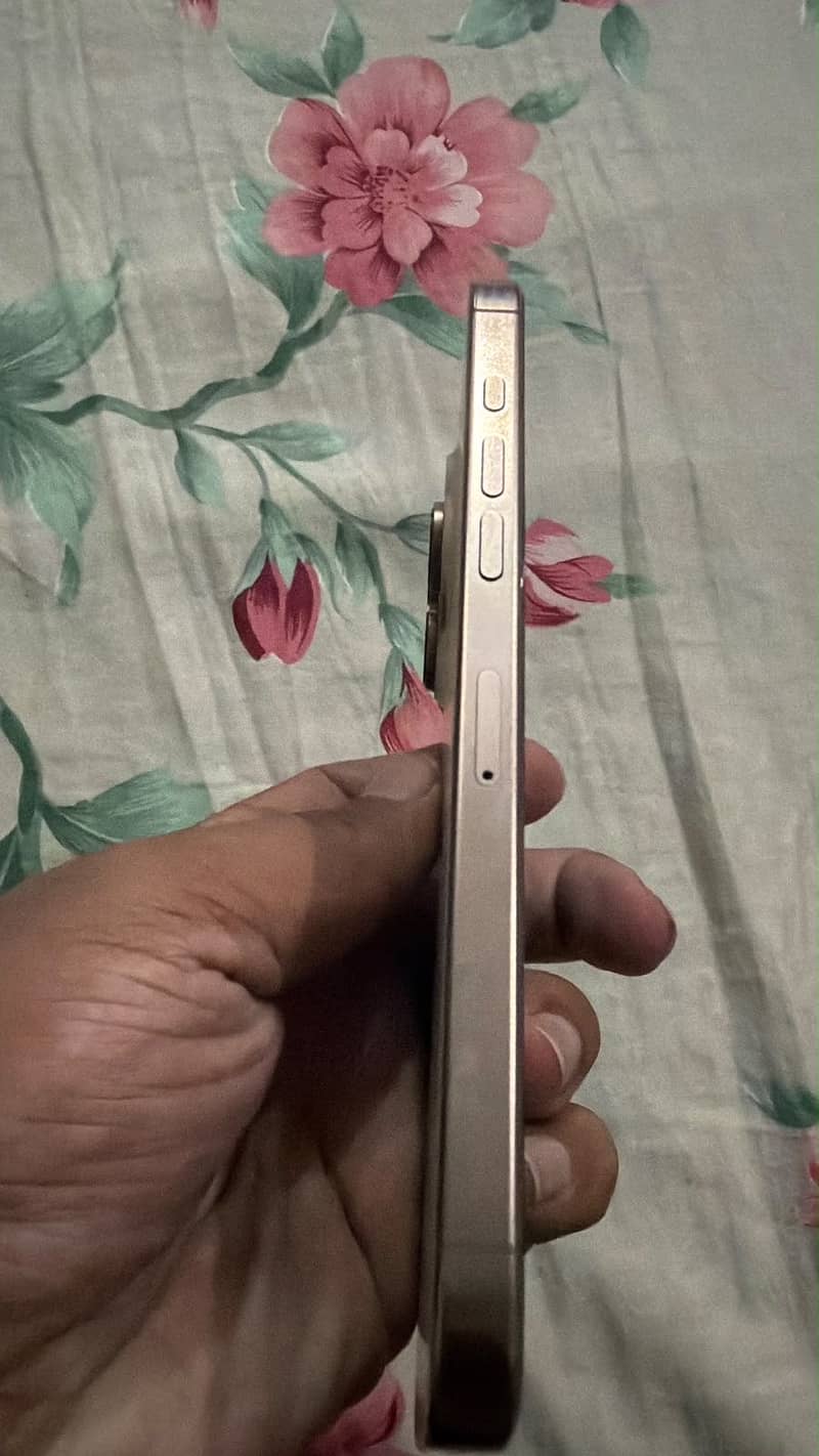 Iphone 16 Pro Max 1