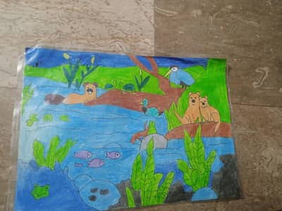 Handmade Sketches for Sale!