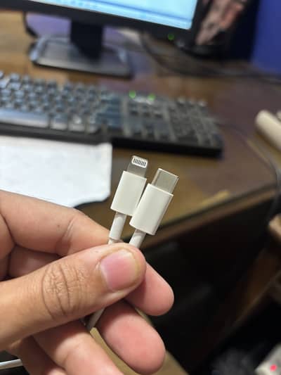 Apple Original Type C to lightning Cable