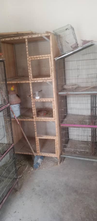 cage 4 sale