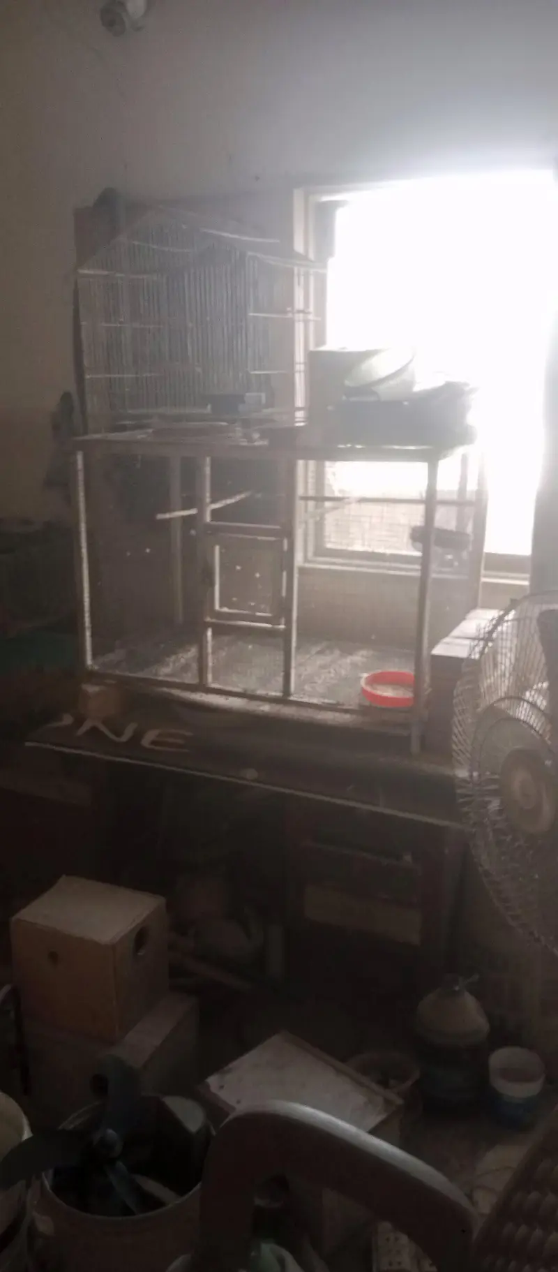 cage 4 sale — photo 2