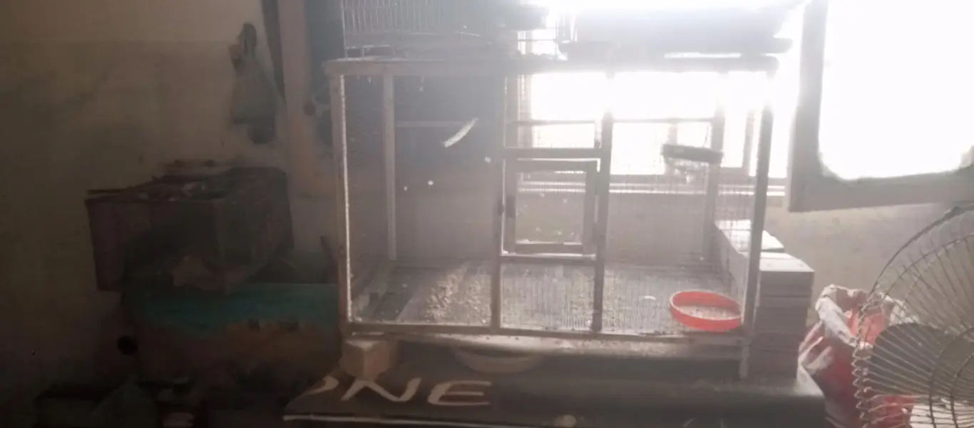 cage 4 sale — photo 3