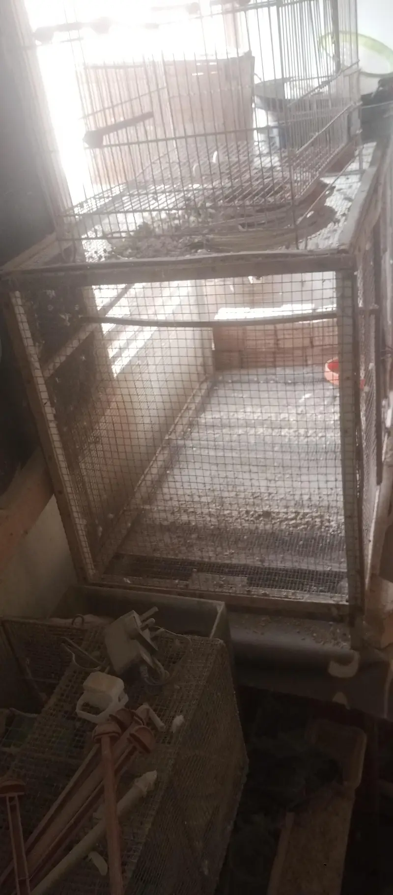 cage 4 sale — photo 4