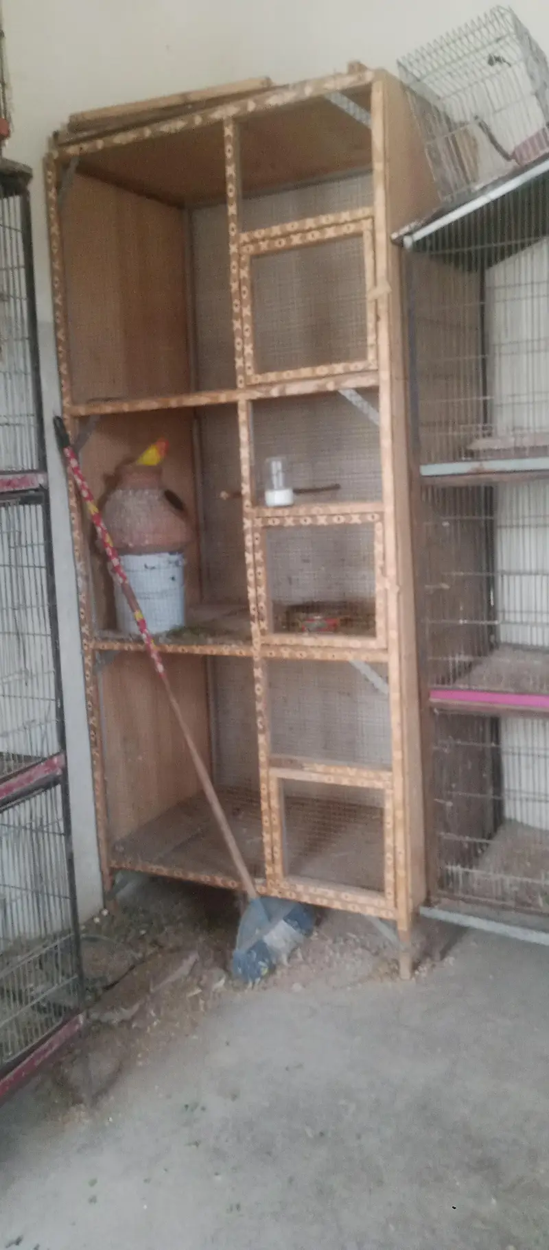 cage 4 sale — photo 6