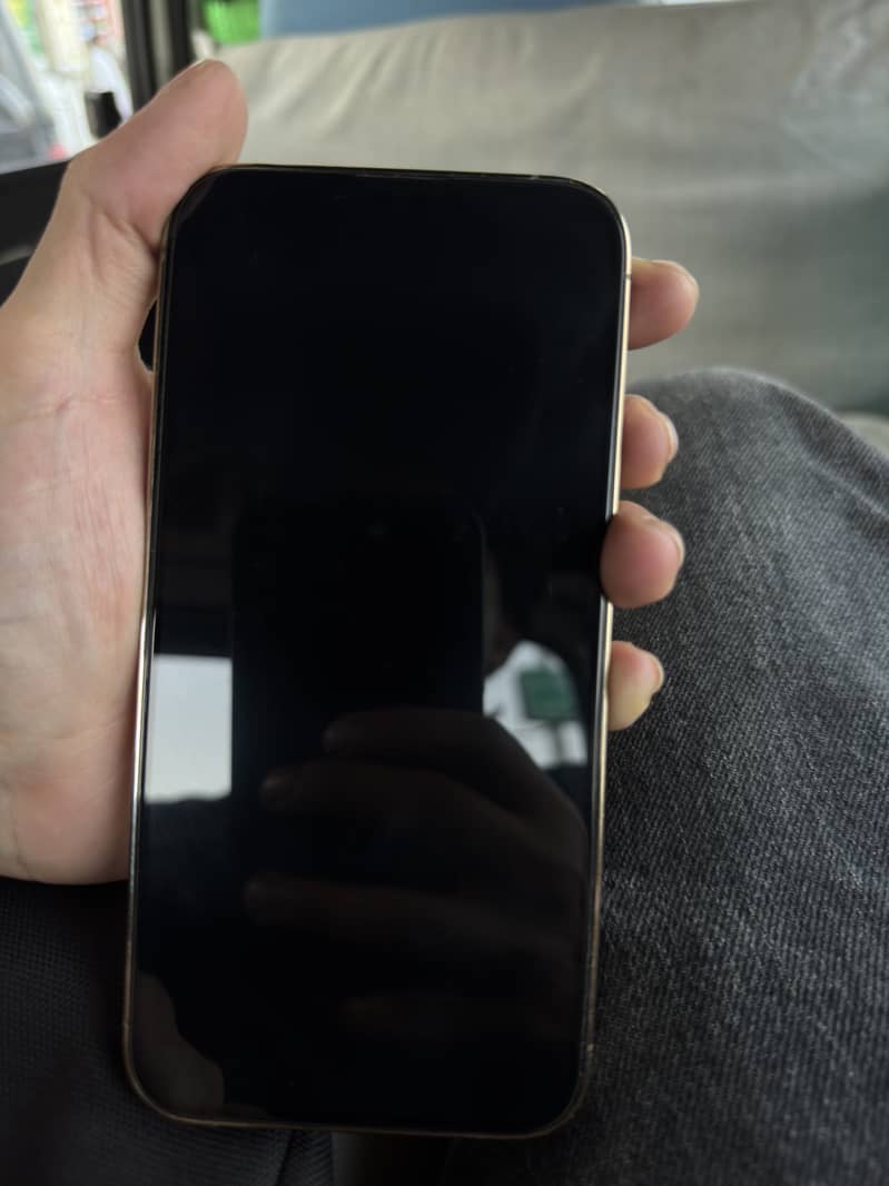 Apple iPhone 13 Pro Max 1