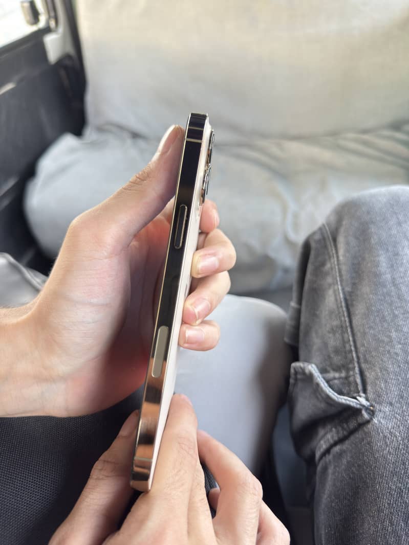 Apple iPhone 13 Pro Max 2