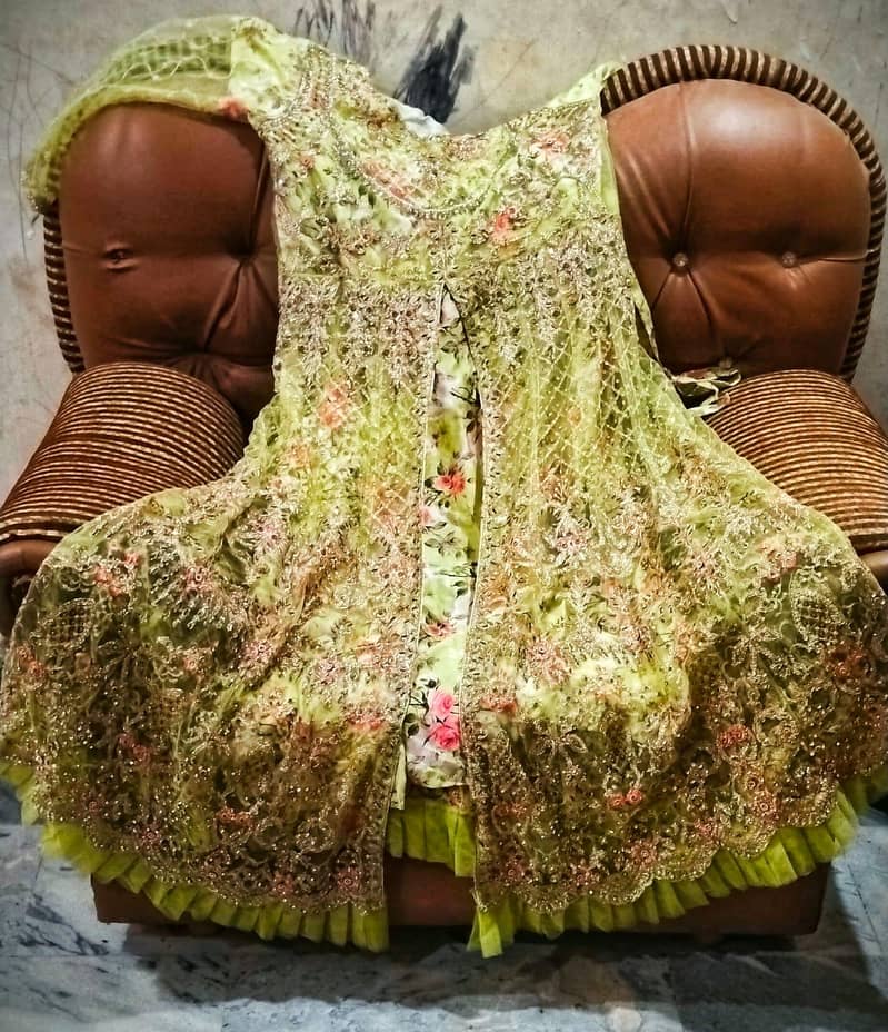 Heavy embroidry/ Handwork look 0