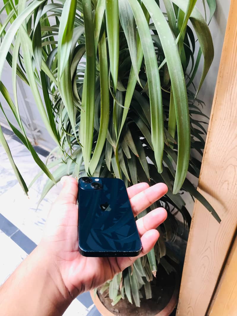 Apple iPhone 13 mini 2