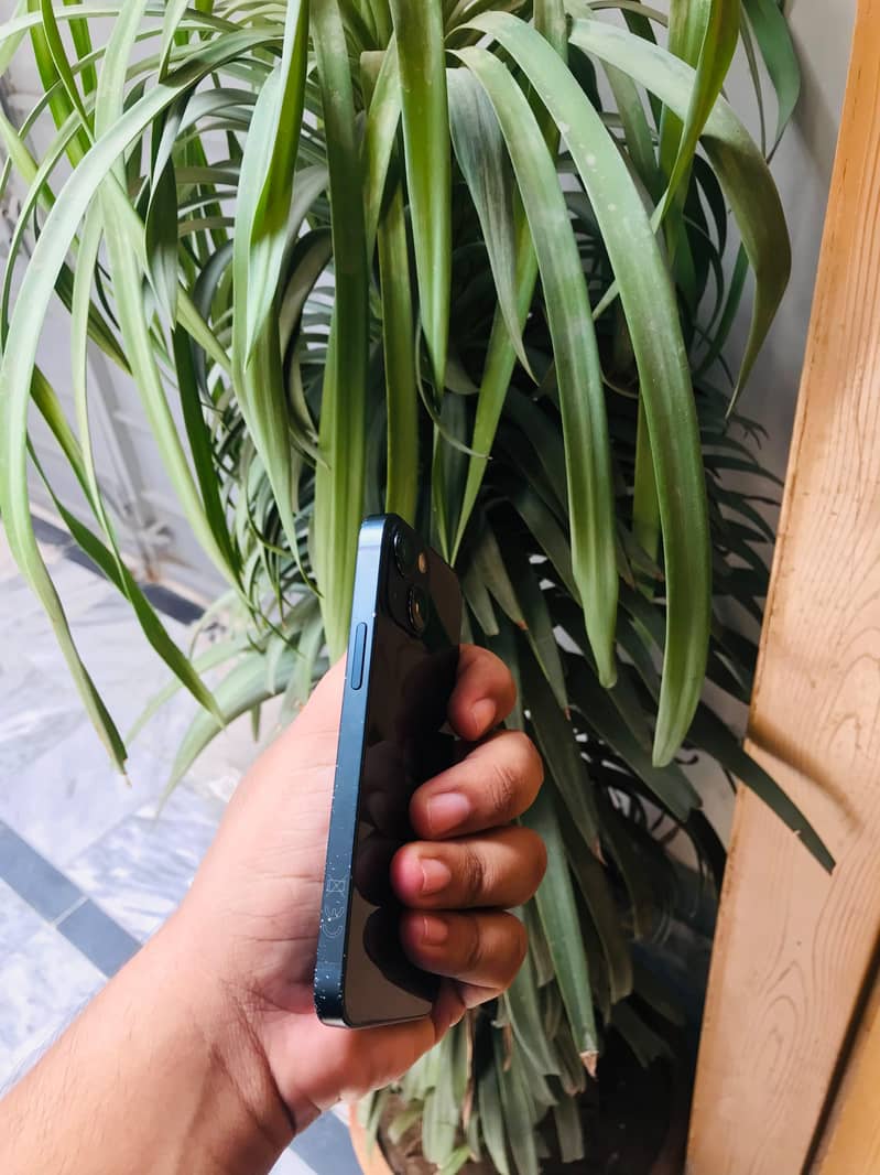 Apple iPhone 13 mini 6