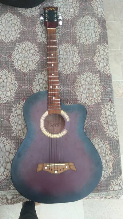 Beginner Acoustic Guitar