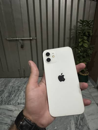 Apple iPhone 12