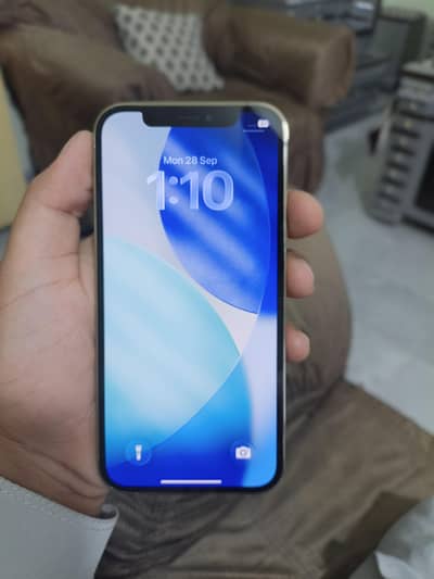 Apple iPhone 12 Pro