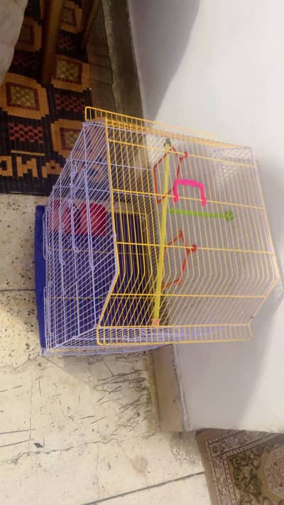 New Cage